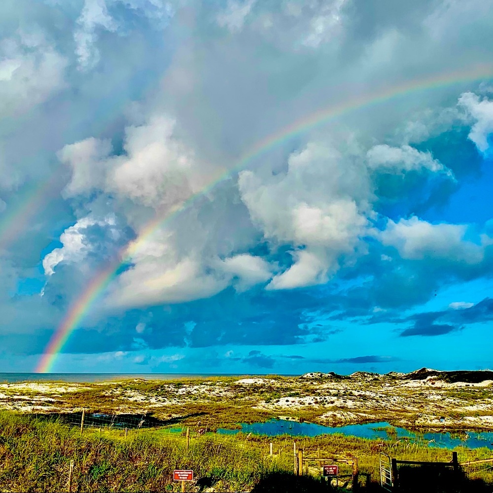 Meet your Posher, Nicky